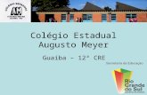Colégio Estadual Augusto Meyer Guaíba – 12ª CRE. Projetos que envolvem os alunos das séries iniciais: