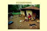 ECOSISTEMA. Impacto Primeira causa de morbilidade em Países em Desenvolvimento, juntamente com: Doença respiratória aguda (causas múltiplas) Diarréia.