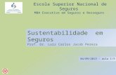 Sustentabilidade em Seguros Prof. Dr. Luiz Carlos Jacob Perera 04/09/2013 – aula 1/3 Escola Superior Nacional de Seguros MBA Executivo em Seguros e Resseguro.