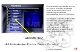 © Célio Silvestre GEOMETRIA 4.2 Inclusão dos Pontos, Barras, Paredes. A tela de apresentação possui um menu simples e rápido onde o usuário especifica.