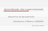Aprendizado não-supervisionado Algoritmos de Agrupamento Hierárquico, K-Means e ISODATA Julio Cesar Duarte.