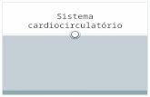 Sistema cardiocirculatório. Sistema vascular Composição  Artérias  Tubos elásticos que transportam o sangue sob alta pressão  Funções Condução e