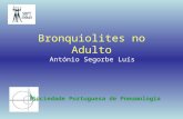 Bronquiolites no Adulto António Segorbe Luís Sociedade Portuguesa de Pneumologia.