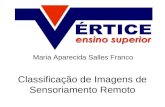 Classificação de Imagens de Sensoriamento Remoto Maria Aparecida Salles Franco.
