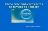 Como criar ambientes livres da fumaça do Tabaco? Adriana Gomes Carneiro.