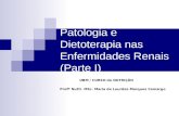 Patologia e Dietoterapia nas Enfermidades Renais (Parte I) UBM / CURSO de NUTRIÇÃO Profª Nutti. MSc. Maria de Lourdes Marques Camargo.