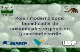 Pólen moderno como bioindicador de comunidades vegetais do Quaternário tardio.