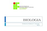 BIOLOGIA Professora Cristiane C. Camargo 2015. BIOLOGIA Reino Plantae.