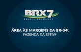 Oportunidade única.  Excelente área para instalação de empresas e indústrias  Localizada em Juiz de Fora - MG  As margens da BR-040 - Km 770  Boa.