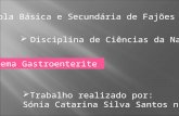 Escola Básica e Secundária de Fajões  Disciplina de Ciências da Natureza  Tema Gastroenterite  Trabalho realizado por: Sónia Catarina Silva Santos.