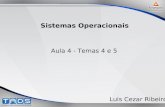 Aula 4 - Temas 4 e 5 Sistemas Operacionais Luis Cezar Ribeiro.