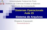 Sistemas Operacionais Aula 15 Sistema de Arquivos Regiane Kawasaki kawasaki@ufpa.br Universidade Federal do Pará Instituto de Ciências Exatas e Naturais.