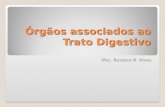 Órgãos associados ao Trato Digestivo Msc. Rosiane N. Alves.