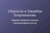 Objetivos e Desafios Empresariais Natacha Stefanini Canesso nscanesso@uol.com.br.