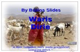 Waris Dirie “A mim ninguém mais pode prejudicar, somente DEUS “ By Búzios Slides Automático.