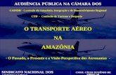 O TRANSPORTE AÉREO NAAMAZÔNIA - O Passado, o Presente e a Visão Perspectiva dos Aeronautas - CTD - Comissão de Turismo e Desporto CAINDR - Comissão da.