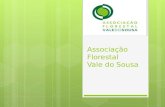 Associação Florestal Vale do Sousa.  AFVS - associação privada sem fins lucrativos  Fundação : 30 de Março de 1994  1ª associação de nível sub-regional.