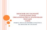 DIOCESE DE TAUBATÉ COLEGIADO DAS ORGANIZAÇÕES E PASTORAIS SOCIAIS COPS PERFIL SÓCIO-ECONÔMICO-POLÍTICO DA DIOCESE DE TAUBATÉ.