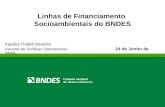 Linhas de Financiamento Socioambientais do BNDES Aquiles Poletti Moreira Gerente de Políticas Operacionais 24 de Junho de 2010.