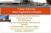 Apresentação:Reinaldo Ferreira Internato 6º ano ESCS/SES/DF (Escola Superior de Ciências da Saúde) Coordenação: Luciana Sugai .