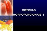 CIÊNCIAS MORFOFUNCIONAIS I. FARMACOLOGIA Ciência que estuda a interação entre os compostos químicos com o organismo vivo sistema biológico, resultando.