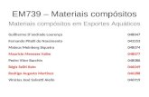 EM739 – Materiais compósitos Materiais compósitos em Esportes Aquáticos Guilherme D’andrade Lourenço048047 Fernando Pitelli do Nascimento043553 Mateus.