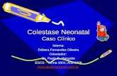 Colestase Neonatal Caso Clínico Interna: Débora Fernandes Oliveira Orientador: Dr. Paulo R. Margotto ESCS - Turma 2001; Ano 2006 .