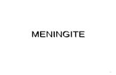 MENINGITE 1. É uma inflamação das meninges, que são membranas que envolvem o cérebro e medula espinhal. Causada por diferentes microorganismos: Bactérias.