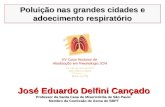 Poluição nas grandes cidades e adoecimento respiratório José Eduardo Delfini Cançado Professor da Santa Casa de Misericórdia de São Paulo Membro da Comissão.