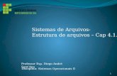 Professor Esp. Diego Andr© Santâ€™Ana Disciplina: Sistemas Operacionais II Sistemas de Arquivos- Estrutura de arquivos â€“ Cap 4.1.2 1