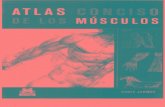 ANATOMIA Atlas Conciso de Los Musculos