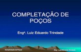 Completação de poços de Petróleo - Eng. Luiz Eduardo Trindade
