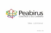 Peabirus - uma síntese - 2011