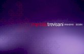 Marcelo Trevisani  - E-Branding