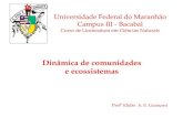 Dinâmica de comunidades e ecossistemas   3ª aula