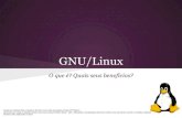 O que é o Linux? Quais seus benefícios?