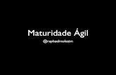 Maturidade Ágil (Agile In Rio 2013)