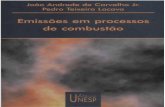 LIVRO - Emissões em processos de combustão.pdf