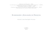 Livro - Elaboracao e Avaliacao de Projetos Publicos.pdf