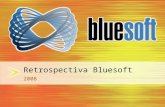 Restrospectiva Bluesoft 2008