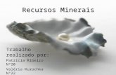 Recursos Minerais