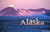 U  S  A    Alaska    Kenai  Fjords  National  Park # + M  G A 00