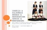CroáCia &  EslovêNia  Designer 2011