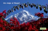 Viagem ao Nepal!