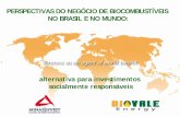 Biodiesel Perspectivas No Brasil E No Mundo