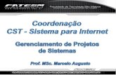 Gerenciamento de projetos de sistemas   2012.1