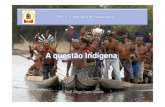 GEO PSC1 - Questão Indígena