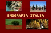 Enografia Itália