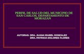 Perfil De Salud Del Municipio De San Carlos