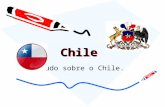 Chile - Turma1008